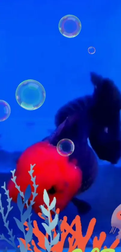 Red-headed fish in a vibrant aquarium with bubbles on a blue background.