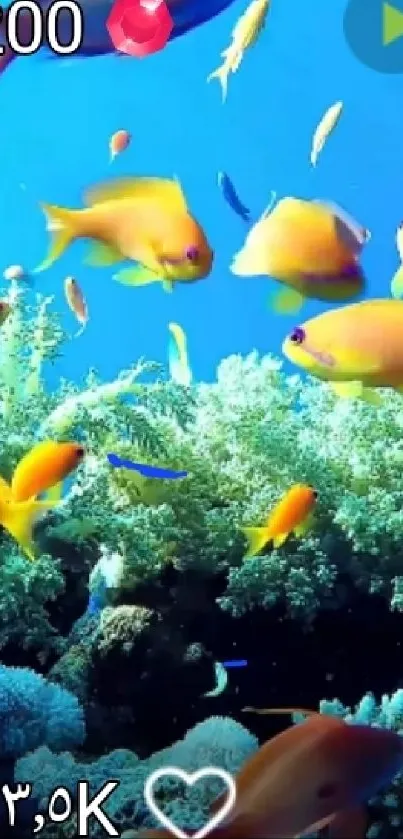 Colorful fish swimming in a coral reef.