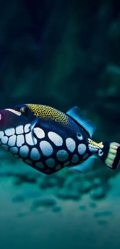 Colorful fish swimming in deep ocean with vibrant patterns and hues.