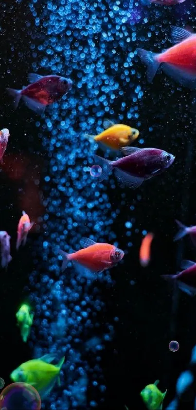 Vibrant colorful fish swimming in deep blue water.