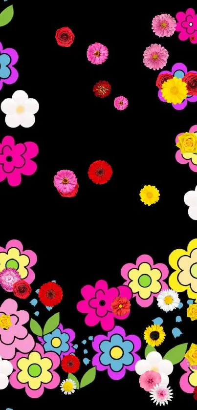 Colorful flowers border on black wallpaper.