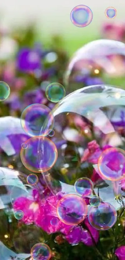 Colorful bubbles over vibrant floral background with pink flowers.