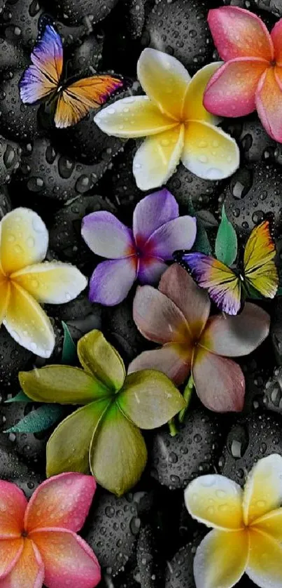 Vibrant floral wallpaper with butterflies on black stones.