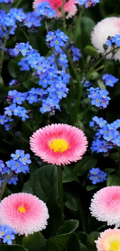 Vibrant wallpaper with pink and blue flowers.