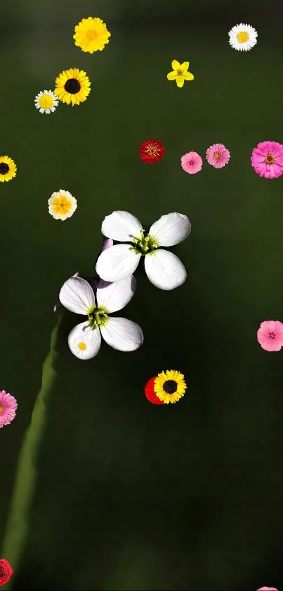 Vibrant mobile wallpaper with colorful flowers on a dark green background.