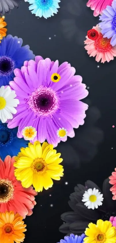 Colorful daisy flowers on a dark phone wallpaper