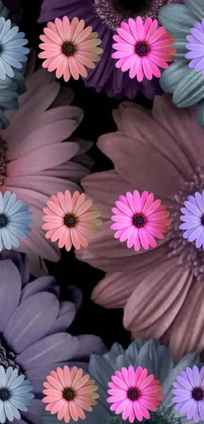 Colorful floral wallpaper with pink, purple, and blue daisies on a dark background.