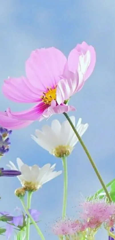 Floral wallpaper with pink flowers against a blue sky.