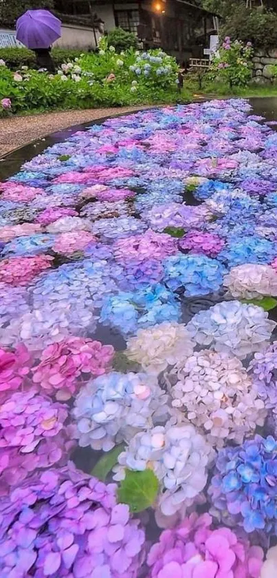 Colorful hydrangeas floating on water in a garden setting.