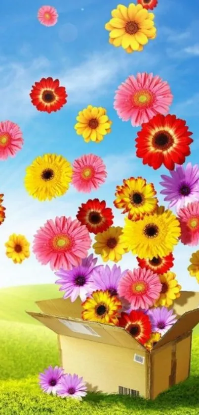 Colorful flowers emerging from a box with blue sky and green field in background.