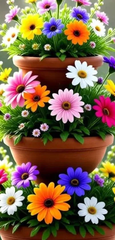 Colorful potted flower arrangement with vibrant blooms.