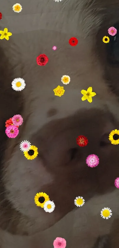 Dog's face with colorful flowers overlay.