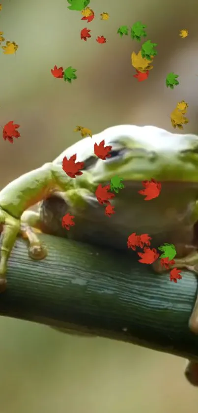 Green frog with colorful falling leaves on branch.