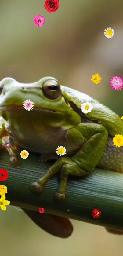 Green frog on branch with colorful flowers.