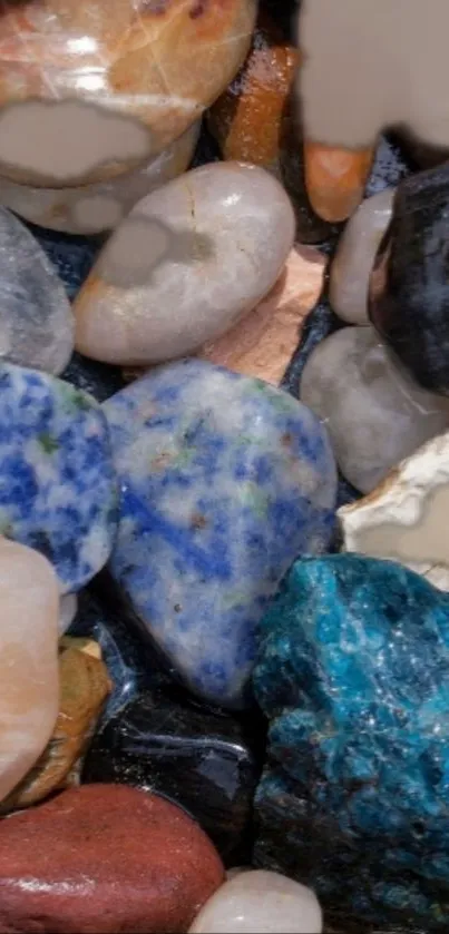 Colorful polished gemstones in various hues perfectly arranged.