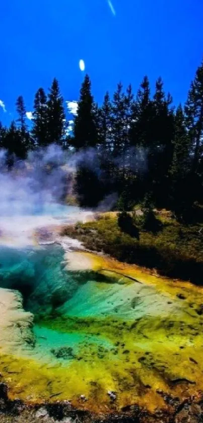 Vibrant geothermal hot spring with lush forest backdrop.