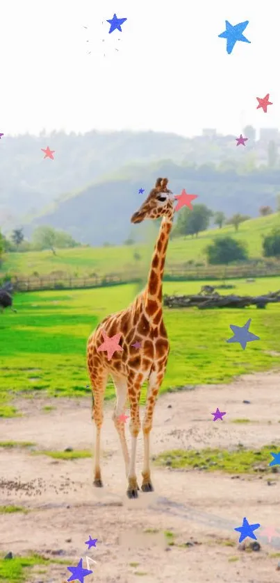 Giraffe in a green field with colorful star accents.