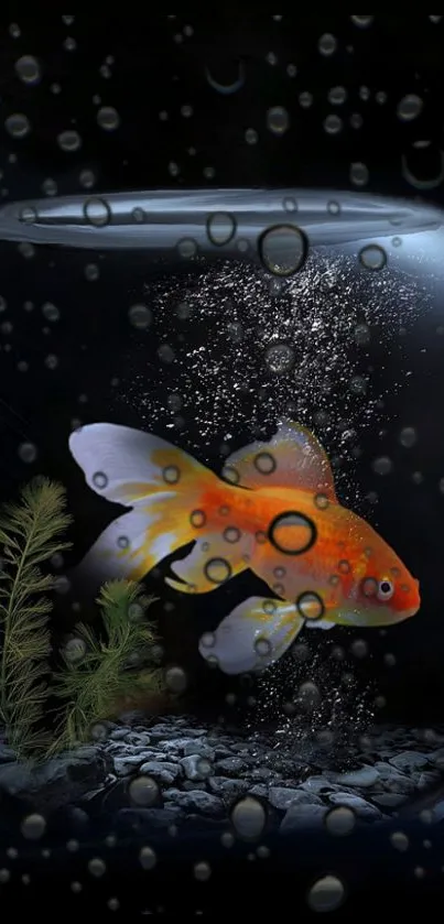 Goldfish swimming in a clear fishbowl with bubbles on a dark background.