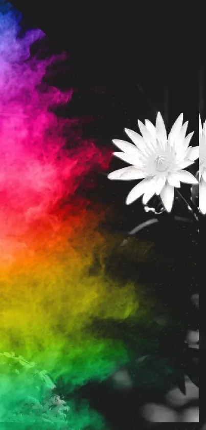 Vibrant gradient flower on monochrome background.