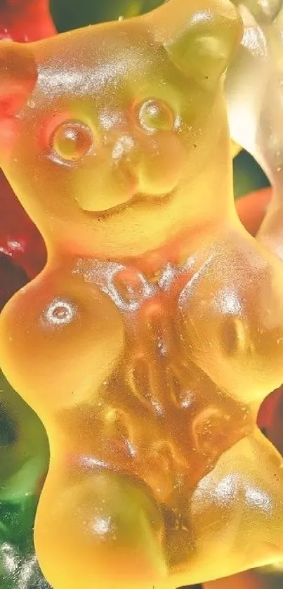 Close-up of colorful gummy bear candies.