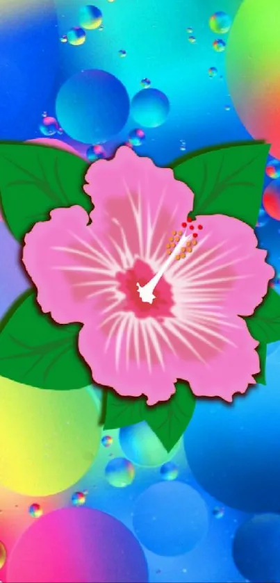 Vibrant hibiscus flower on colorful spheres background.