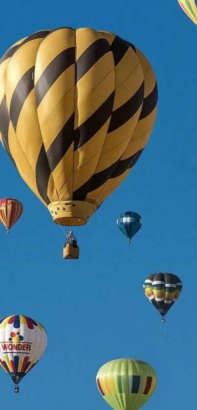 Colorful hot air balloons floating in a clear sky.