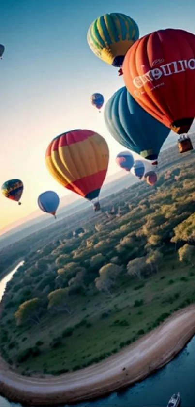 Colorful hot air balloons float over a scenic landscape at sunrise.