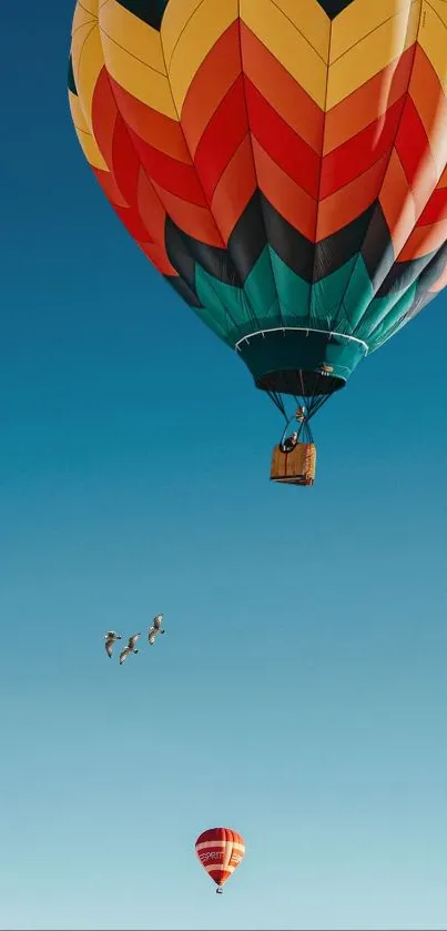 Colorful hot air balloons floating in a clear blue sky.