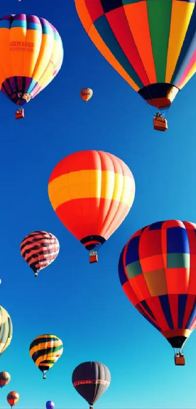 Colorful hot air balloons against a bright blue sky, creating a vibrant scene.