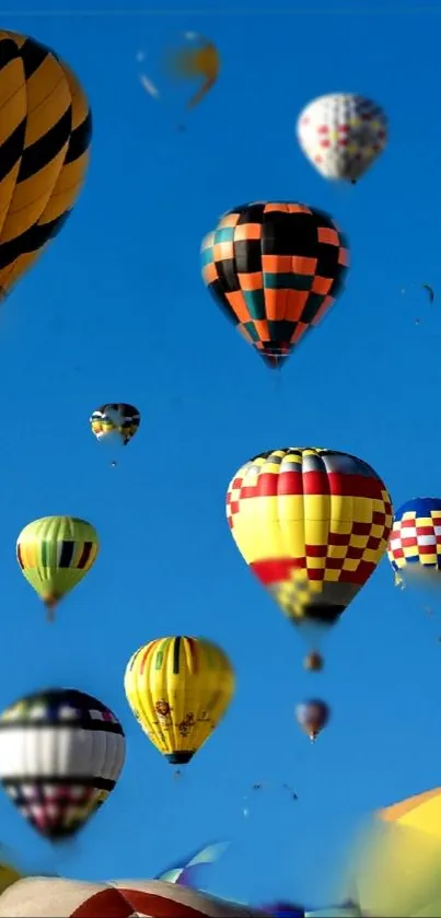 A vibrant display of hot air balloons in a clear blue sky.