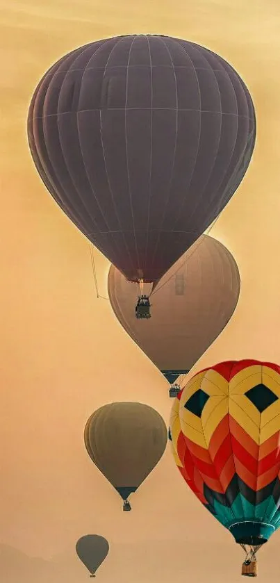 Hot air balloons floating in a peaceful orange sky.