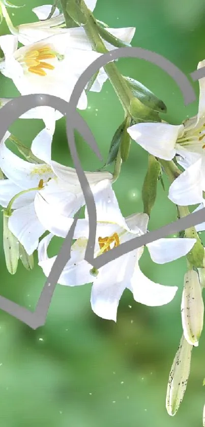 Colorful hummingbird with lilies on a green background.