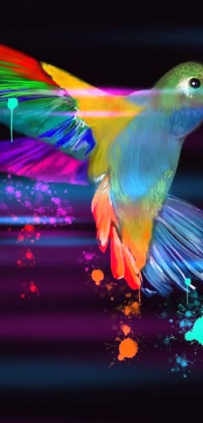 Colorful hummingbird with rainbow wings on dark background.