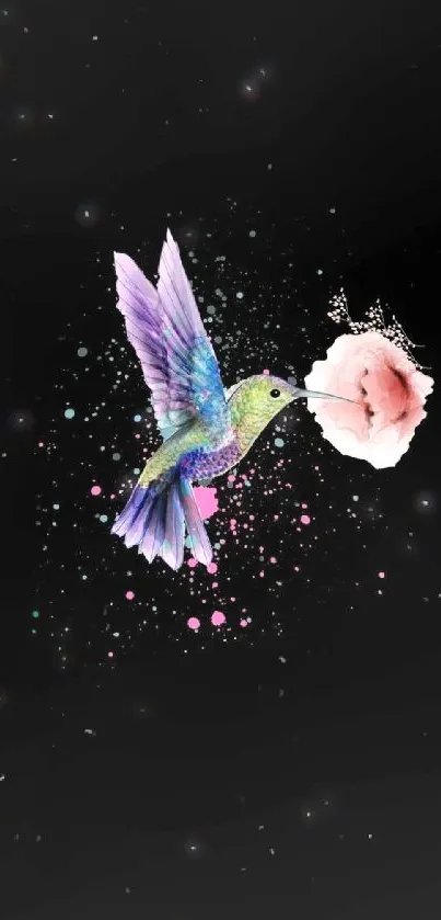 Vibrant hummingbird with flower on black background wallpaper.