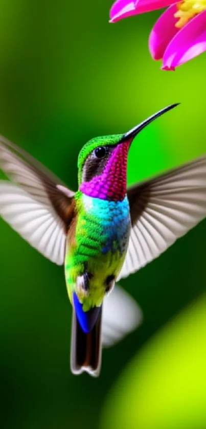 A vibrant hummingbird in flight with a green background and pink flower.