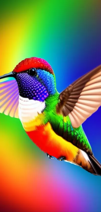 Vibrant hummingbird on a colorful rainbow gradient background wallpaper.