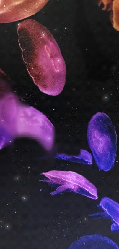 Colorful jellyfish float on dark background mobile wallpaper.