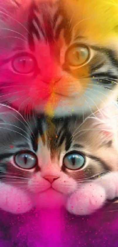 Two adorable kittens with a vibrant, colorful overlay.