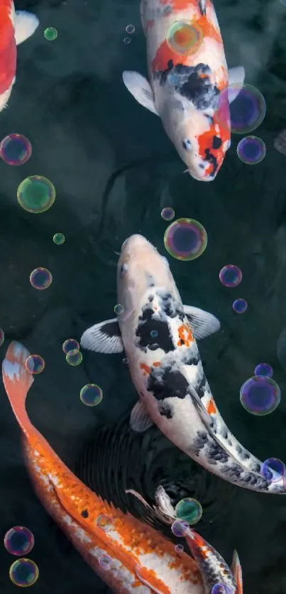 Colorful koi fish swimming in a serene pond.