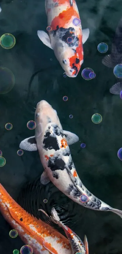 Vibrant koi fish swimming gracefully in a serene pond.