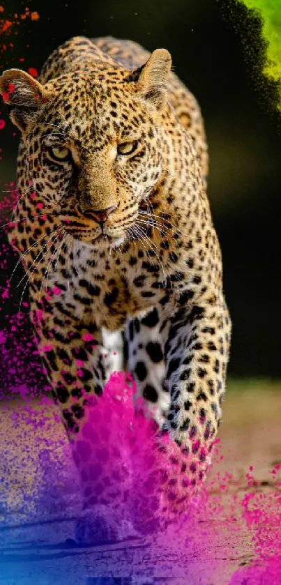 Vibrant leopard with colorful splashes mobile wallpaper.