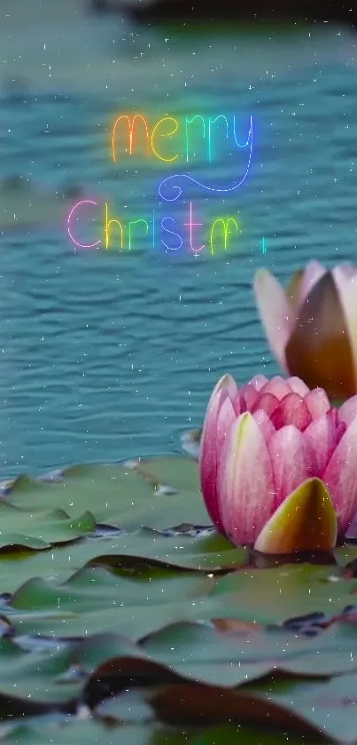 Pink lotus blossoms with a Merry Christmas neon text on teal water.