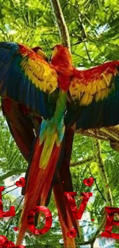 Vibrant parrots with 'LOVE' text in green forest background.