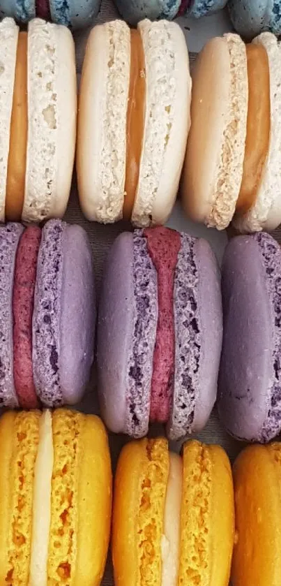 A close-up of colorful stacked macarons.