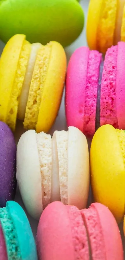 Colorful macarons lined in a vibrant pattern.