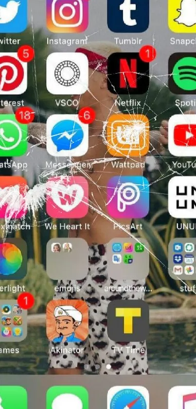 Colorful mobile app icons on home screen