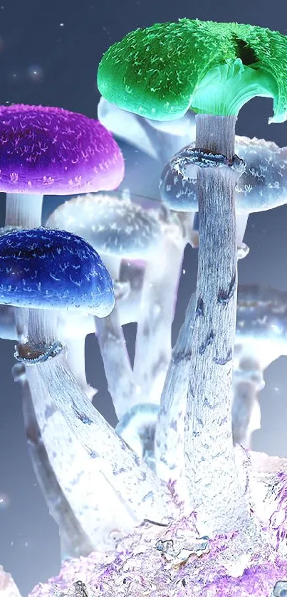 Colorful illuminated mushrooms in artistic style for phone wallpaper.
