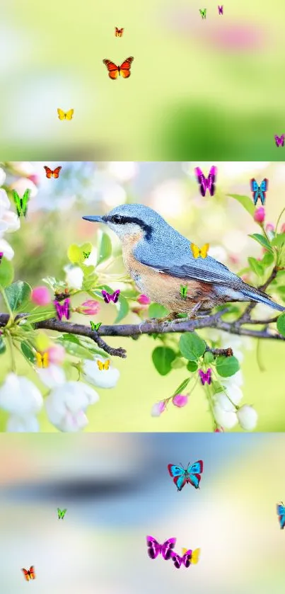 Vibrant wallpaper with a blue bird on a flowering branch and colorful butterflies.