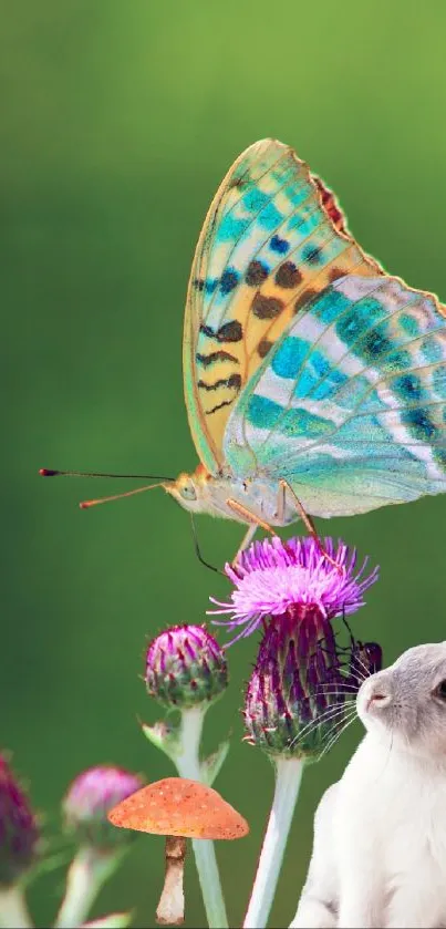 Colorful butterfly on flower with rabbit, mobile wallpaper.