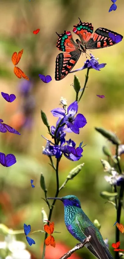 Colorful butterfly and hummingbird on flowers in nature wallpaper.